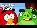 Angry Birds Toons Season 1 | Ep. 31 to 35