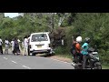breaking vehicles by wild elephants #wildelephant #attack