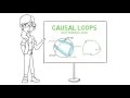 Introduction to Causal Loops