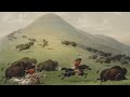 A Buffalo hunt with the Cheyenne