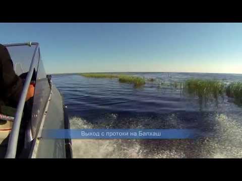 рыбалка в бишкеке на сазана рыбалка в бишкеке на сазана