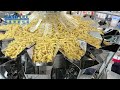 Machine ensacheuses verticale de peseuse multi-tête de pâtes de macaroni de 250g