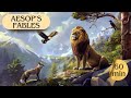 Aesop's Fables Collection: 'The Lion and the Mouse' and Beyond | Kids Storytime with Timeless Tales
