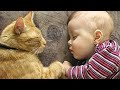 When you're my one and only special friend! ❤️🐱Cute Cats and Human