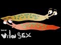If You Think Your Sex Life Is Tough, Try Being a Slug