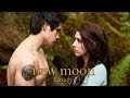 New Moon Parody by The Hillywood Show™