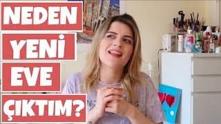 Zorbalığa Uğramak, Yeni Ev, Fandomlar SORU CEVAP