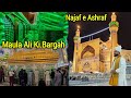 Hazrat Ali Ki Bargah Kaisi Hai Dekhye | Najaf e Ashraf Ki Tamaam Ziyarat Karye @HafizAamirQadri