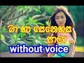 Ma Ha Senehasa Pala Karaoke (without voice)
