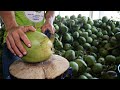 Coconut cutting skill !!!Coconut water and coconut bread making!!!/Thai Street Food