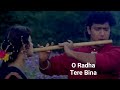O Radha Tere Bina | Full Song | Sabir Kumar & Lata Mangeshkar | Radha Ka Sangam 1992