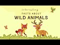 Interesting Facts about Wild Animals