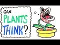 Download Can Plants Think? mp4 3gp mp3 videos - waplic