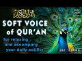 Soothing the hearth and mind, peaceful recitation of Qur'an juz 30