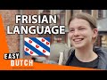 Do Frisians Actually Speak Frisian? | Easy Dutch 24