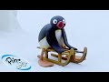 Pingu Causes Trouble 🐧 | Pingu - Official Channel | Cartoons For Kids