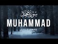 Surah Muhammad سورة محمد  (TRANQUILITY)