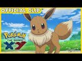 Dancing Eevee! | Pokémon the Series: XY Kalos Quest | Official Clip