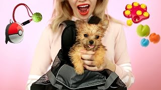 Testing Out WEIRD Dog Products with NEW TEACUP PUPPY! *So Cute*