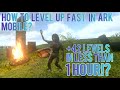 How To Level Up Fast In Ark Mobile? Note Runs!