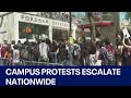 Campus Palestine protests escalate nationwide | FOX 7 Austin