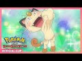 Meowth Loves Glameow! | Pokémon: DP Sinnoh League Victors | Official Clip