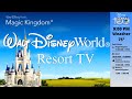 WDW Today Channel - Resort TV - Walt Disney World - DISNEY 24/7 LIVE STREAM