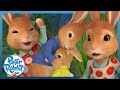 ​@OfficialPeterRabbit - 🤗💖 Peter and His Sisters 🤗💖 | 🎉 World Siblings Day 🎉 | Cartoons for Kids