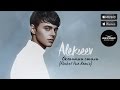 Alekseev - Океанами Стали (Rocket Fun Remix) | Record Dance Label