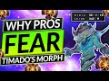 HOW TO PLAY FAST AS POSITION 1 - Pro Carry Tips & Strategies - Dota 2 Morphling Guide