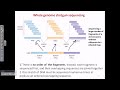 Whole genome shotgun sequencing