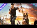 [The Seven Dog's PDU] An extraordinary partnership between a man and a dog! | Action | YOUKU