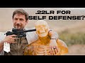 How Deadly Is A 22 Pistol? 22 Pistol vs Human