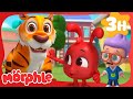 Morphle's Tiger Troubles | Stories for Kids | Morphle Kids Cartoons