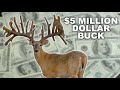 Multi Million Dollar Buck at Blackjack Whitetails