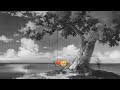 Tere Hawale Arjit Singh Song ( Slowed × Reverd ) Arjit Singh Tere Hawale ❤️🥺 #viral #video #music