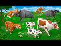Wild vs Farm - Buffalo Cow vs Tiger Fox | Animal Kingdom | Animal Fighting Videos Compilation 2024