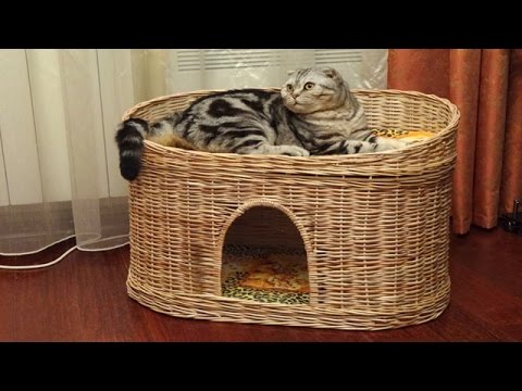Мастер класс кошачий домик из газетных трубочек