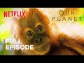 Our Planet | Jungles | FULL EPISODE | Netflix
