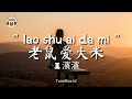 lao shu ai da mi (老鼠爱大米) Cover Wang Binbin 王濱濱 - Lirik Lagu / Lyrics ( Yang Chengang 杨臣刚 )