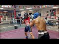 Daniel Lim and Emiliano Vargas sparring at Capetillo Boxing Gym Las Vegas.