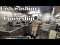 Dish washing - Pot washing in Cruiseship