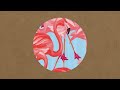 Marcu Rares - Flamingo Around