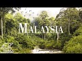 Malaysia 4K Ultra HD • Stunning Footage Malaysia | Relaxation Film With Calming Music - 4k Videos