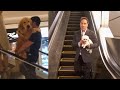 The Dangers of Dogs on Escalators
