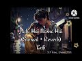 Jadu Hai Nasha Hai (Slowed + Reverb)| Shreya Ghoshal John Abraham | Bipasa Basu | Feel The Beat