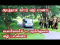 Thrill Pollachi to Parambikulam Dense Forest Early Morning Bus Journey Jolly Trip