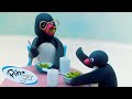 Pingu Enjoys Family Time! 🐧 | Pingu - Official Channel | Cartoons For Kids