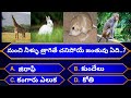 Interesting questions in Telugu |Ep -4|By AR World Quiz|unknown facts|General knowledge|Telugu Quiz