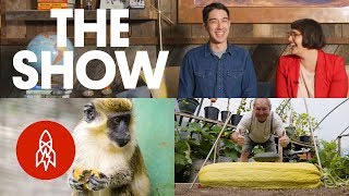 100-Pound Vegetables, Mammoth Meals, and Grasshopper Sushi | THE SHOW, Episode 7
